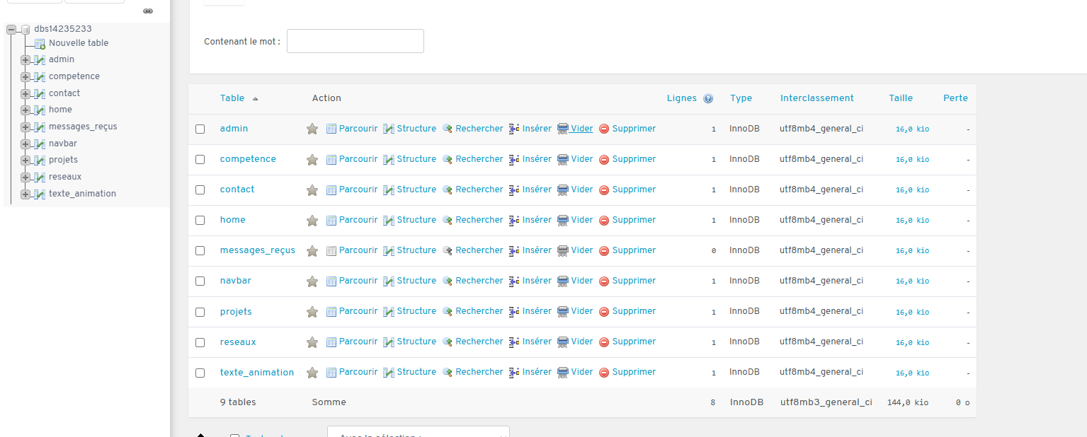 Audit du site Naya.tech